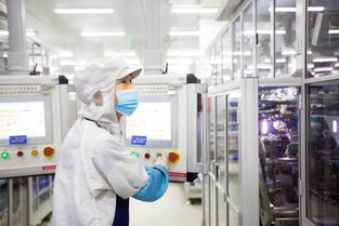 你沒見過的動力電池智慧工廠模樣——法蘭克福技術沙龍探討信息技術咨詢服務